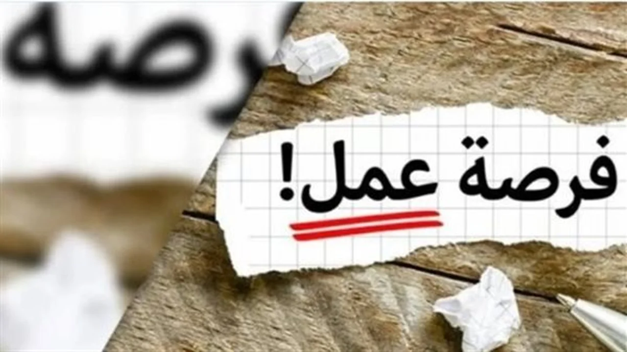ملتقى توظيف مفتوح.. فرص عمل للخريجين في كبرى الشركات العالمية